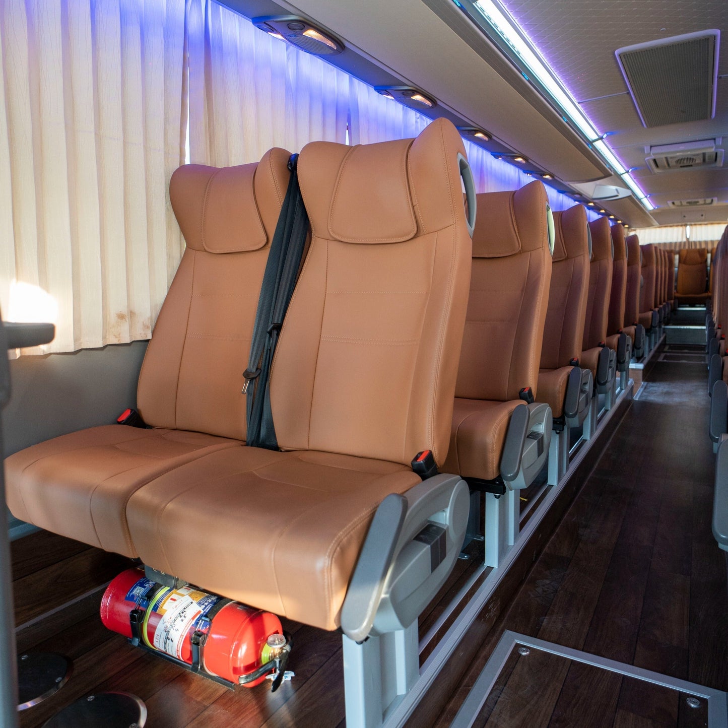 50 Seater Bus