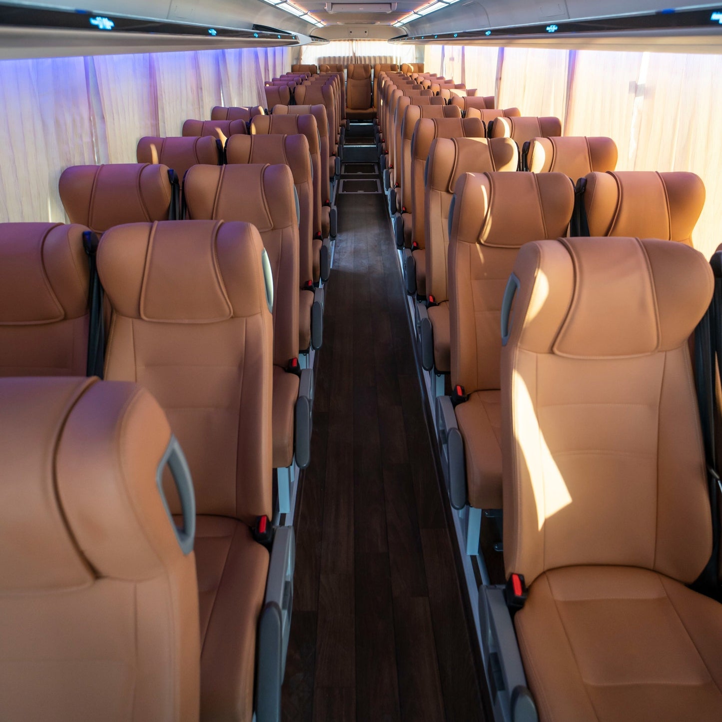 50 Seater Bus